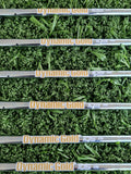 PING i230 Iron Set 5-PW + UW Steel Regular (NEW)