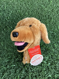 Golden Retriever Hybrid Headcover